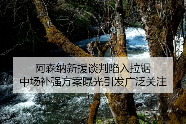 阿森纳新援谈判陷入拉锯 中场补强方案曝光引发广泛关注