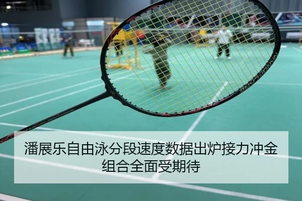潘展乐自由泳分段速度数据出炉接力冲金组合全面受期待