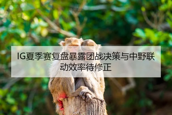 IG夏季赛复盘暴露团战决策与中野联动效率待修正